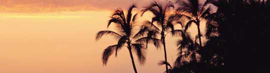 Apple Vacations - Molokai