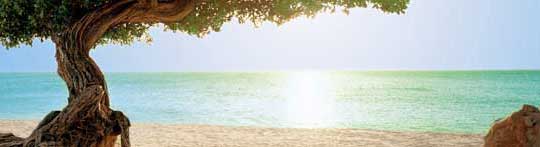 Aruba - Apple Vacation Resorts