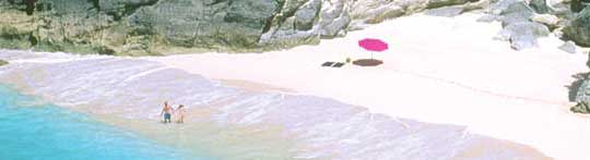 Apple Resort Vacation - Bermuda